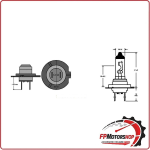 LAMPADA LAMPADINA H7 12V 55W ALOGENA PX26D PER AUTO MOTO SCOOTER