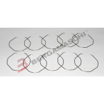 ANELLI ELASTICI DI TENUTA PER PARAOLI FORCELLE 1,6X60MM BLISTER 10PZ TOURMAX