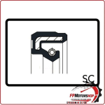 ANELLO DI TENUTA PARAOLIO GUARNIZIONE MOTORE SC 18X10X4 ARIETE P/006