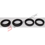 KIT PARAOLI E PARAPOLVERE 4PZ HORNET 600 98-15