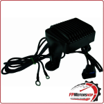 REGOLATORE DI TENSIONE PER HARLEY SERIE TOURING 97-01 NERO WAI 12V CONNETTORE