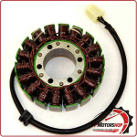 STATORE MAGNETE PER TRIUMPH DAYTONA 955 01 06 ELECTROSPORT ESG935 18 BOBINE