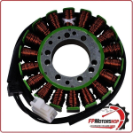 STATORE MAGNETE PER TRIUMPH DAYTONA 955I 02-06 DA VIN 179432 D115 RM STATOR