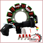 STATORE MAGNETE PER SUZUKI RM-Z 250 13,18 450 13,19 RM STATOR RMS010-106946 12