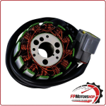 STATORE MAGNETE PER YAMAHA YZF-R1 04-08 FZ1 / FZ8 RM STATOR RM01303 12 BOBINE