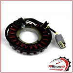 STATORE MAGNETE PER MOTO BMW R1200GS LC 13-18 WAI 21 BOBINE