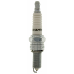 CANDELA CHAMPION RG6YC CCH977
