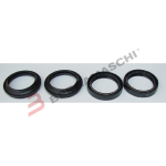 KIT PARAOLI E PARAPOLVERE 4PZ PER KAWASAKI ZX6R NINJA 98>02 TOURMAX