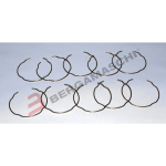 ANELLI ELASTICI DI TENUTA PER PARAOLI FORCELLE 1,8X53MM BLISTER 10PZ TOURMAX