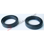 KIT PARAOLI PER FORCELLE 2 PEZZI 36X48X10,5 YAMAHA X-MAX 125/250 05>09